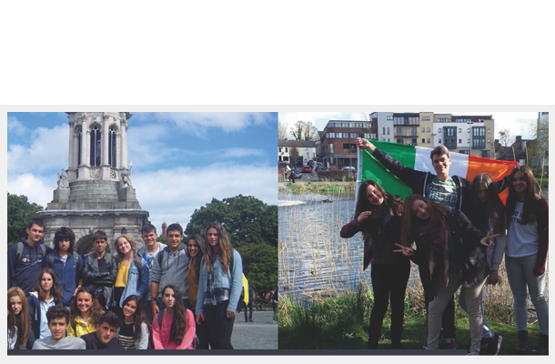 Banner Trimestre Irlanda